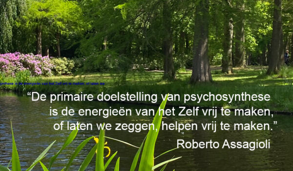Jaarprogramma voor psychosynthetici